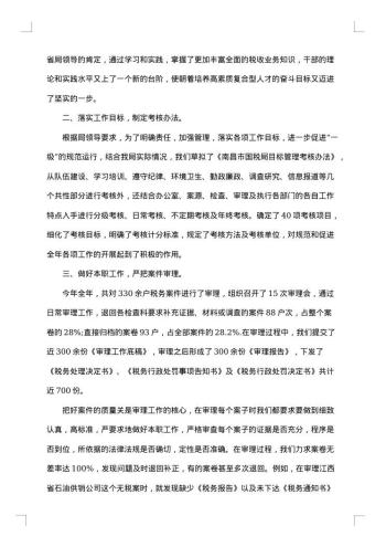 税务个人一年工作总结