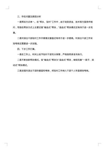 扶贫工作自检自查报告