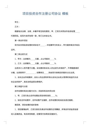 项目投资合作注册公司协议