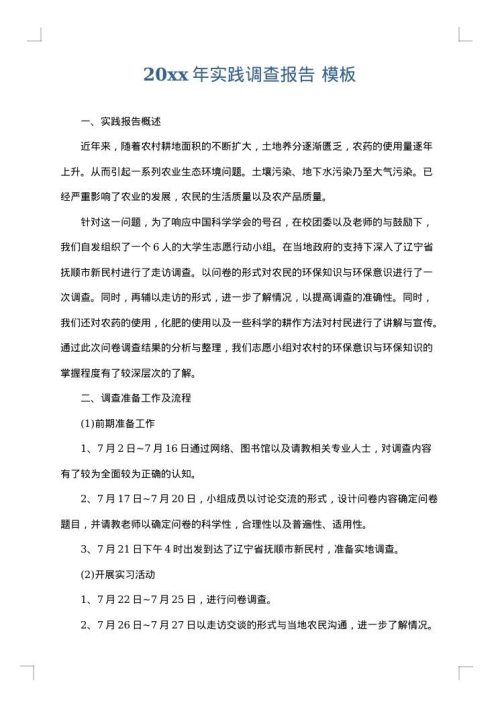 2025年实践调查报告