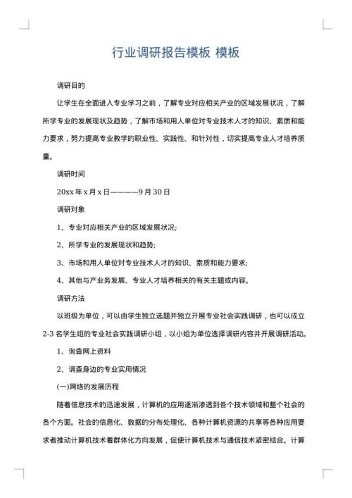 行业调研报告模板