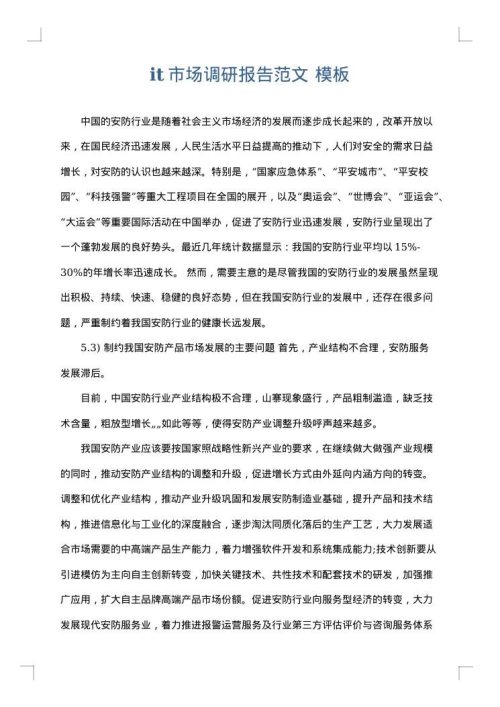 it市场调研报告范文