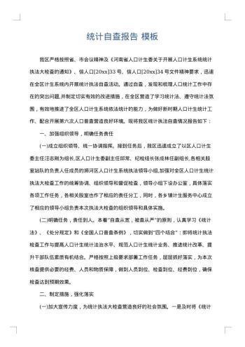 统计自查报告