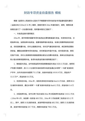 财政专项资金自查报告