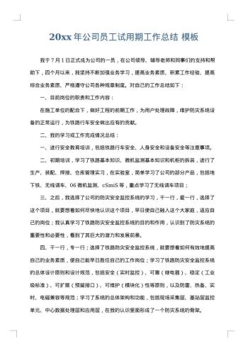 20xx年公司员工试用期工作总结