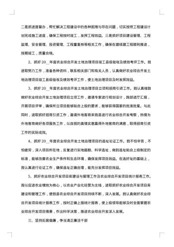 电力公司领导述职述廉报告