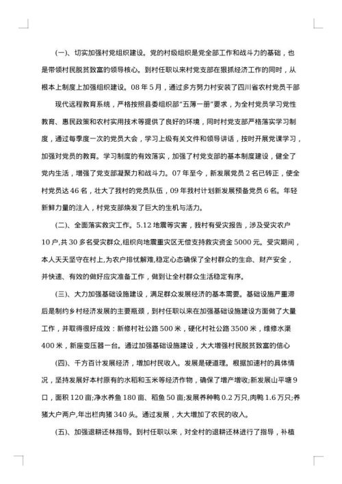2025年村干部个人总结范文