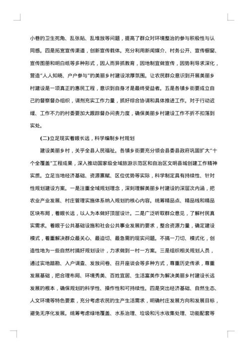 2025年村建设调研报告