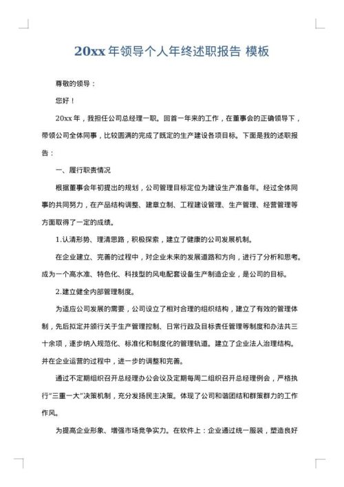 2025年领导个人年终述职报告