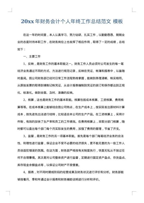2025年财务会计个人年终工作总结范文