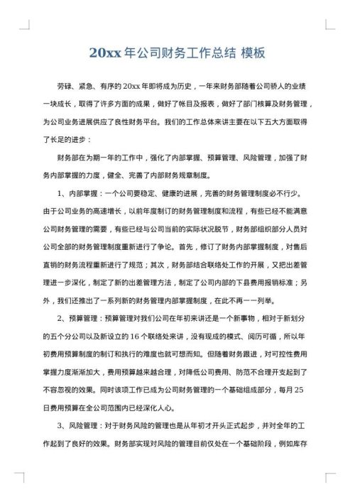 2025年公司财务工作总结
