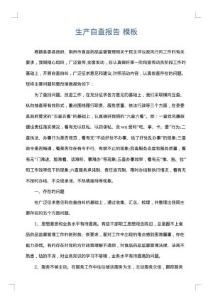 生产自查报告