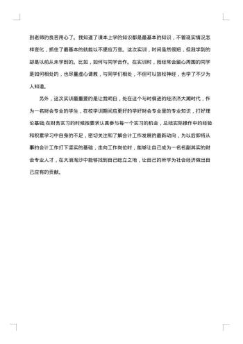 会计实训报告格式