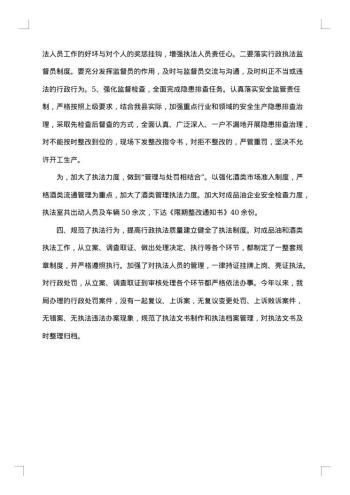 城管局依法行政工作总结