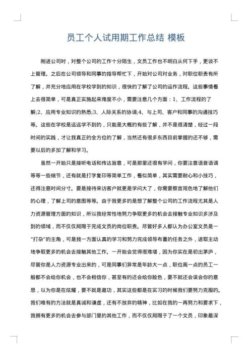 员工个人试用期工作总结