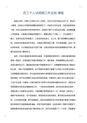 员工个人试用期工作总结