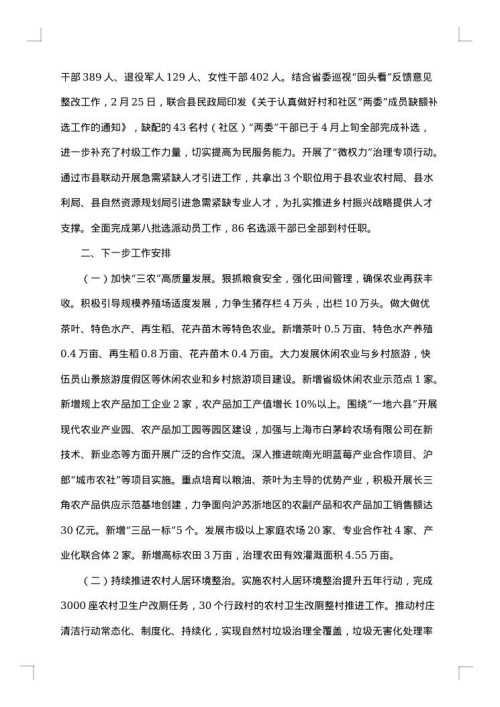 乡村振兴办工作人员工作总结范文
