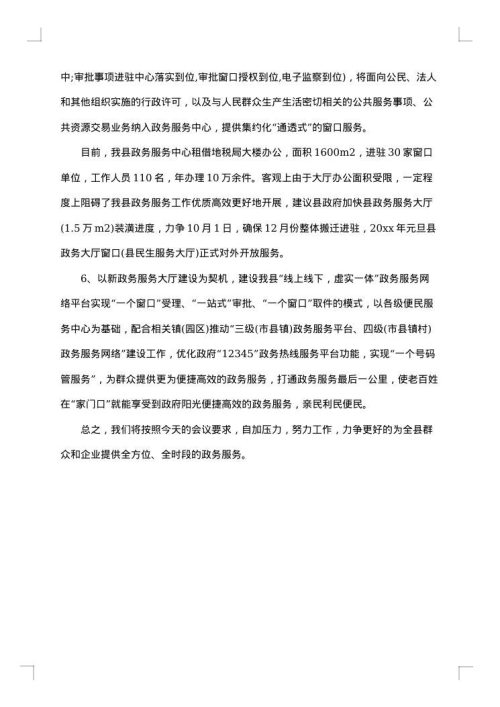 改革自查报告