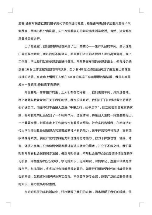 2025年社会实践报告高中生