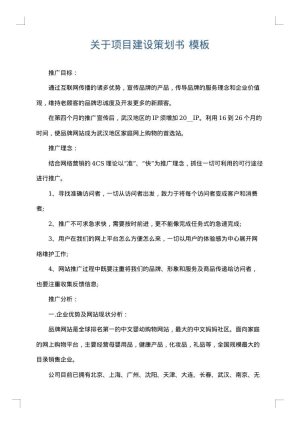 关于项目建设策划书