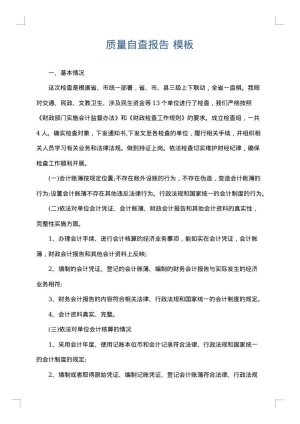 质量自查报告
