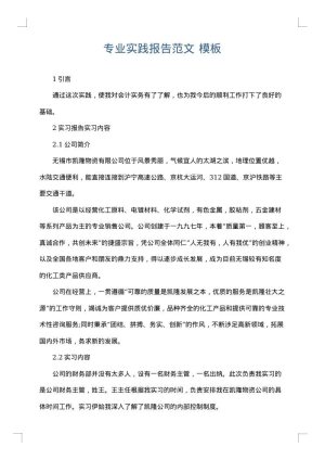 专业实践报告范文