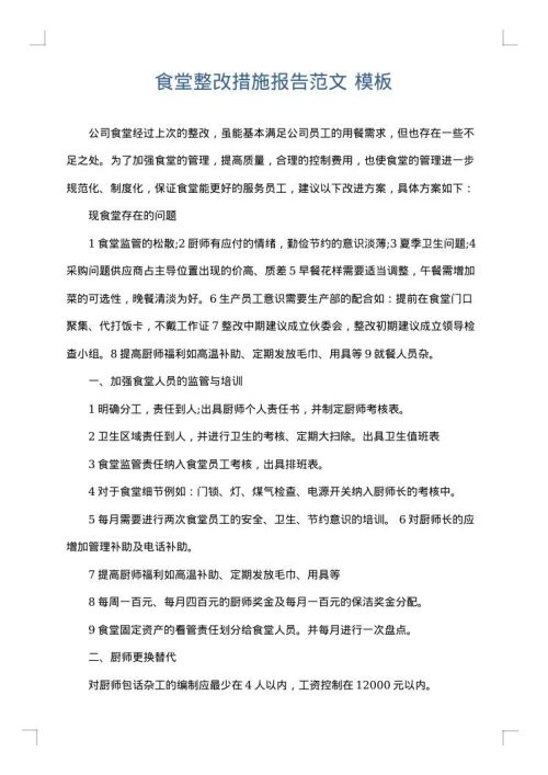 食堂整改措施报告范文