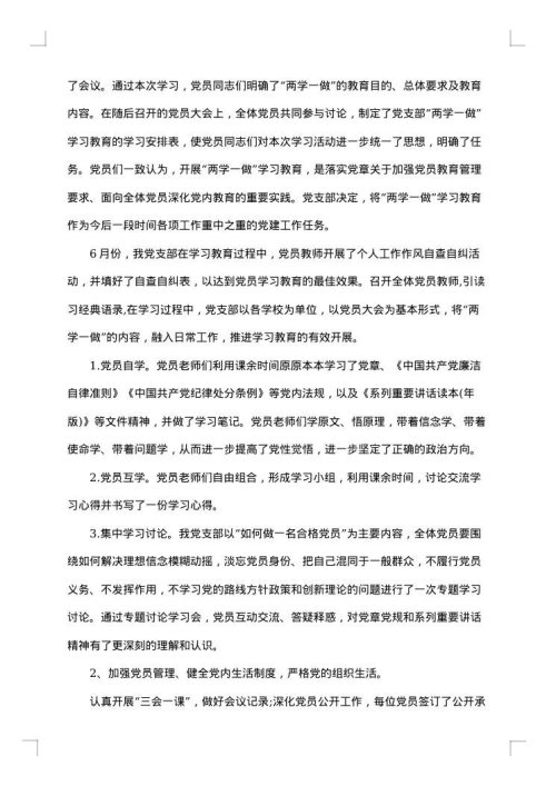 2025年学校党建个人工作总结