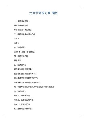 元旦节促销方案