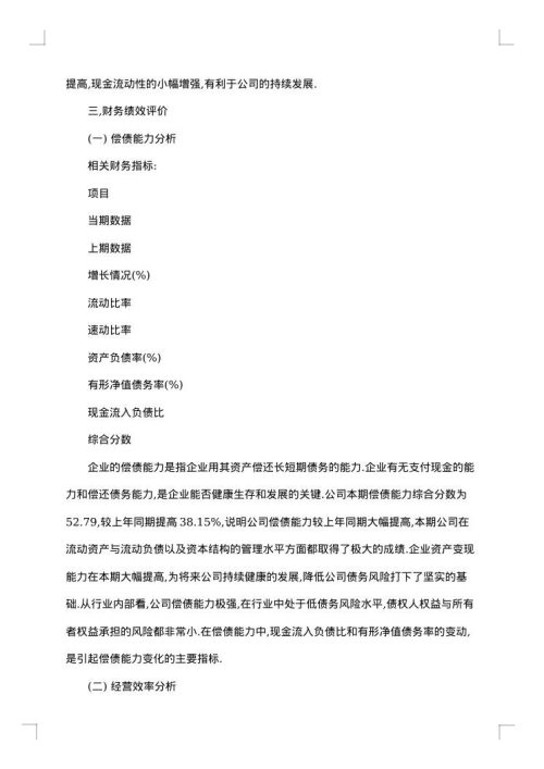 公司财务分析报告格式范文