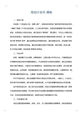 规划计划书