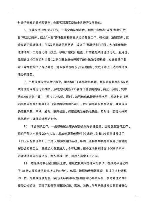 统计局自查报告