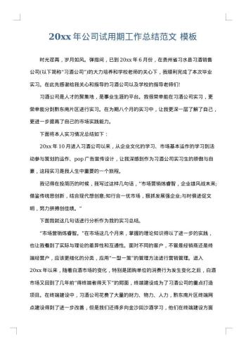 20xx年公司试用期工作总结范文