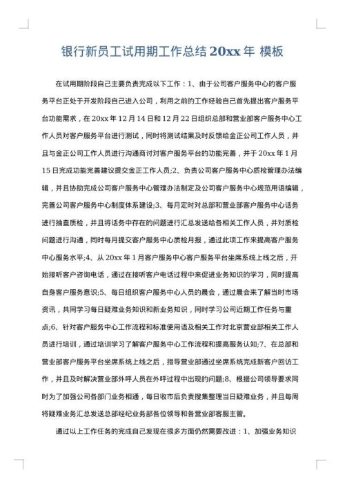 银行新员工试用期工作总结2025年