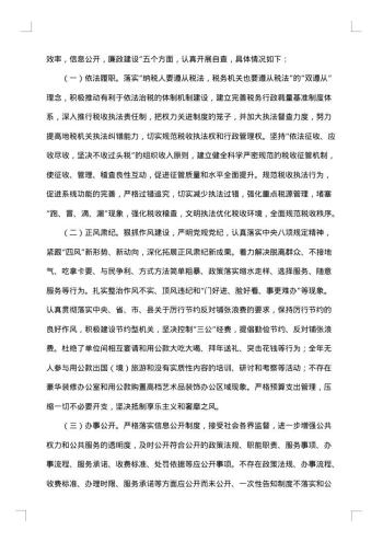 国税局工作总结