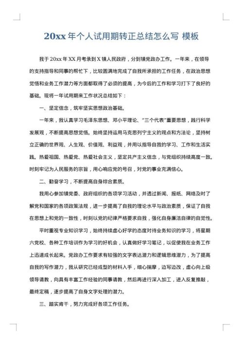 2025年个人试用期转正总结怎么写