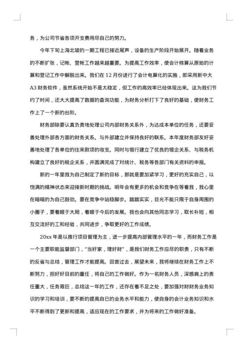 2025年会计个人年度工作总结
