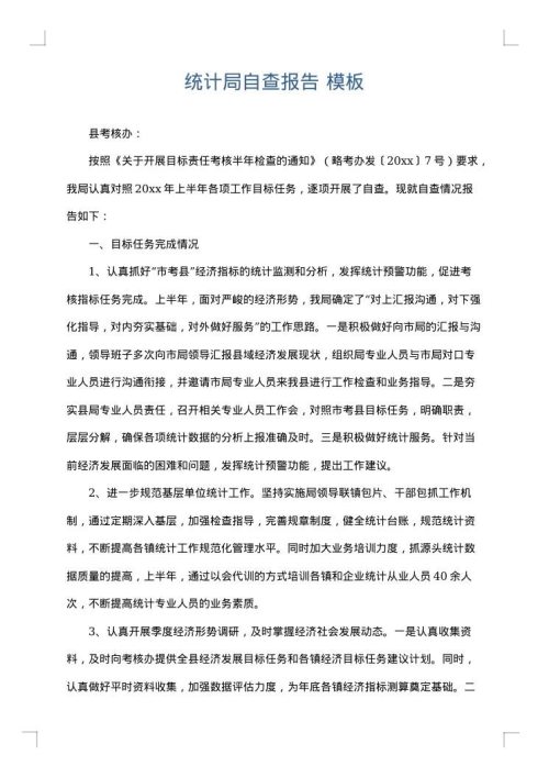 统计局自查报告