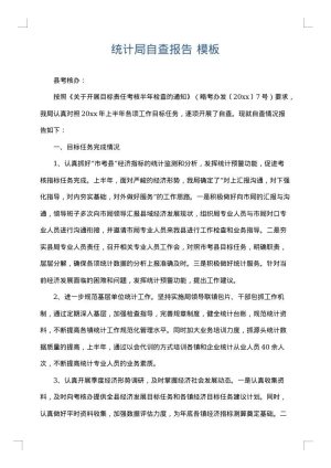 统计局自查报告