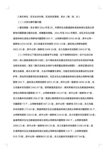 专项整改方案