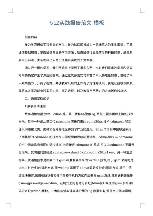 专业实践报告范文