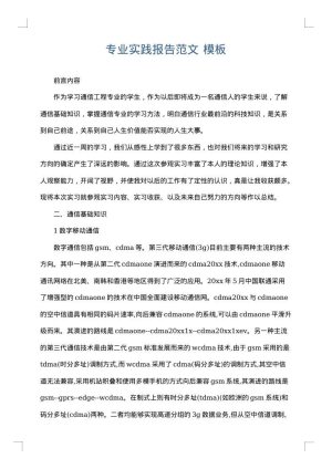 专业实践报告范文