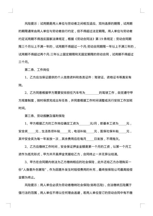 2025年专职司机聘用合同