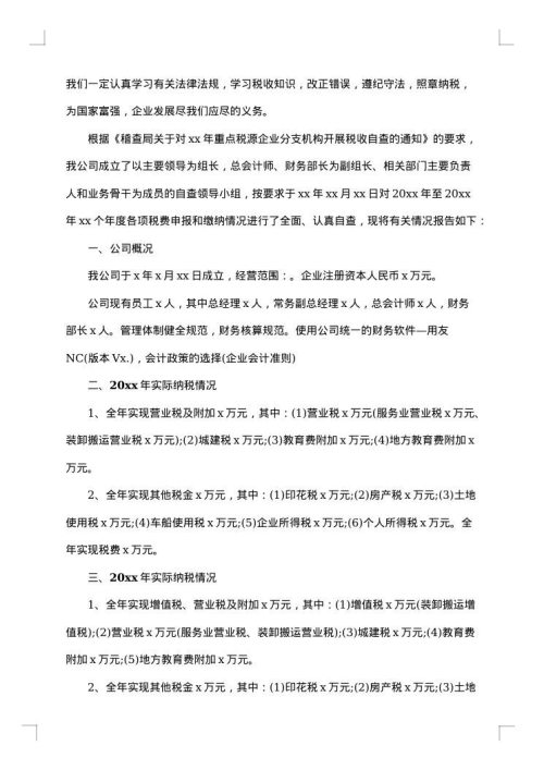企业税务自查报告