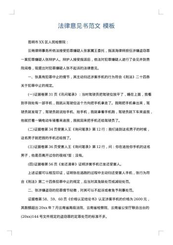 法律意见书范文