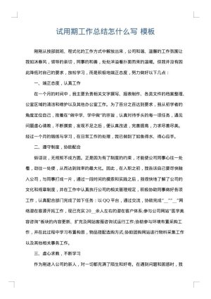 试用期工作总结怎什么写