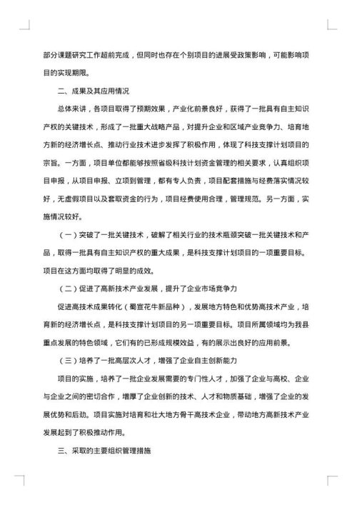 项目管理自查报告