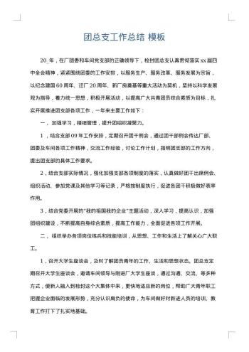 团总支工作总结