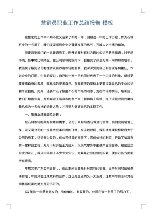 营销员职业工作总结报告