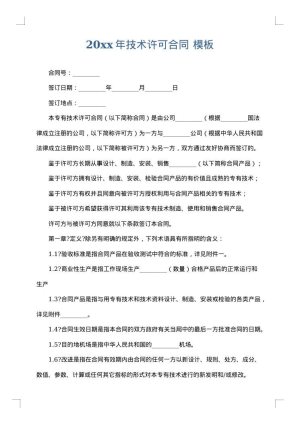 2025年技术许可合同